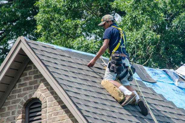 Roof Gutter Cleaning in Emmett, ID